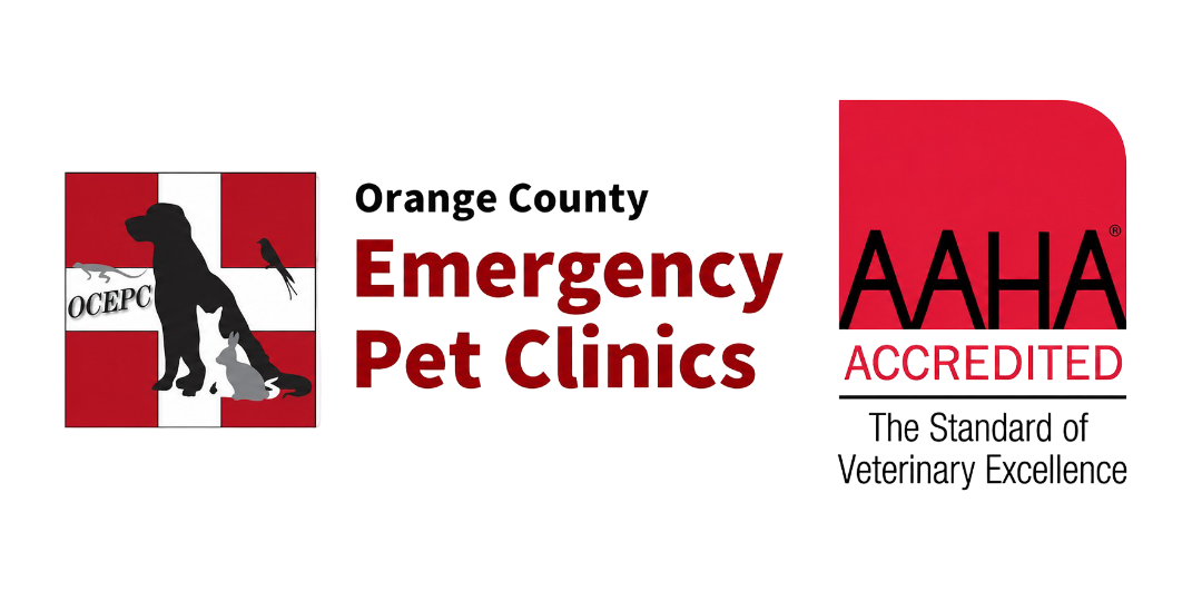 Orange County Emergency Pet Clinics