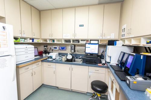 In-House Laboratory